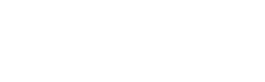 2VizCon_logo